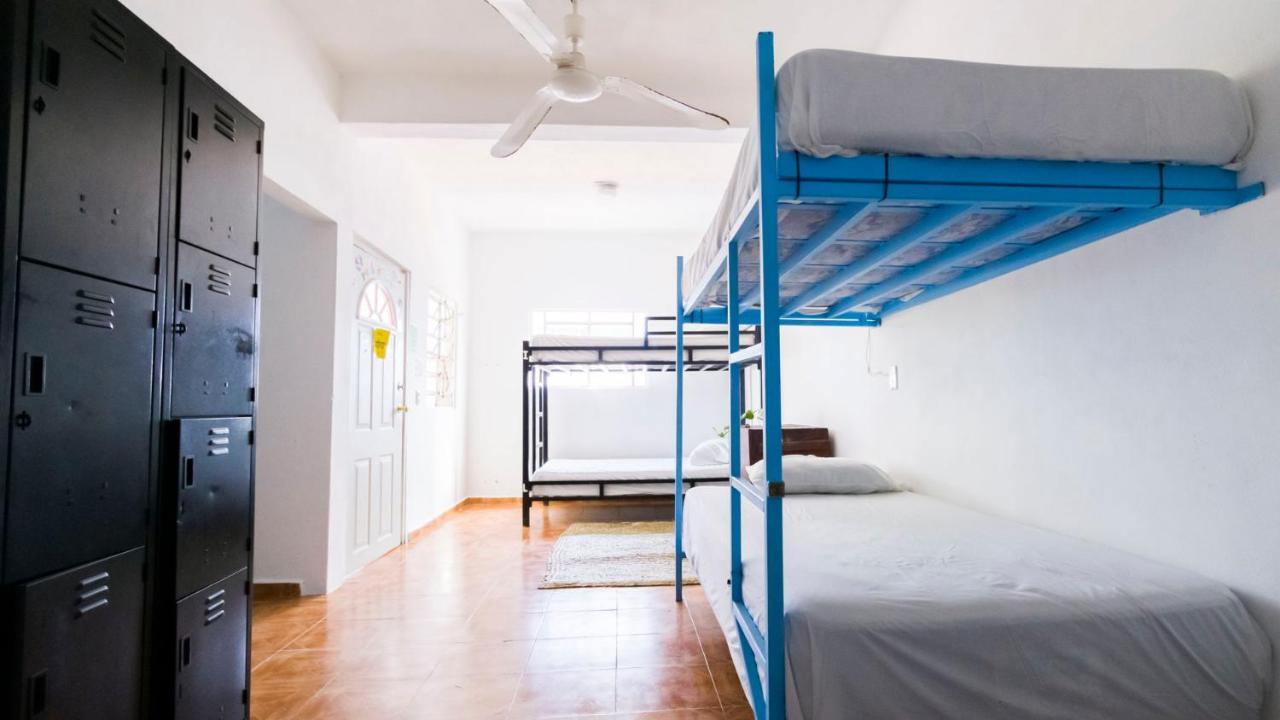 Weary Traveler Hostel Tulum Room photo